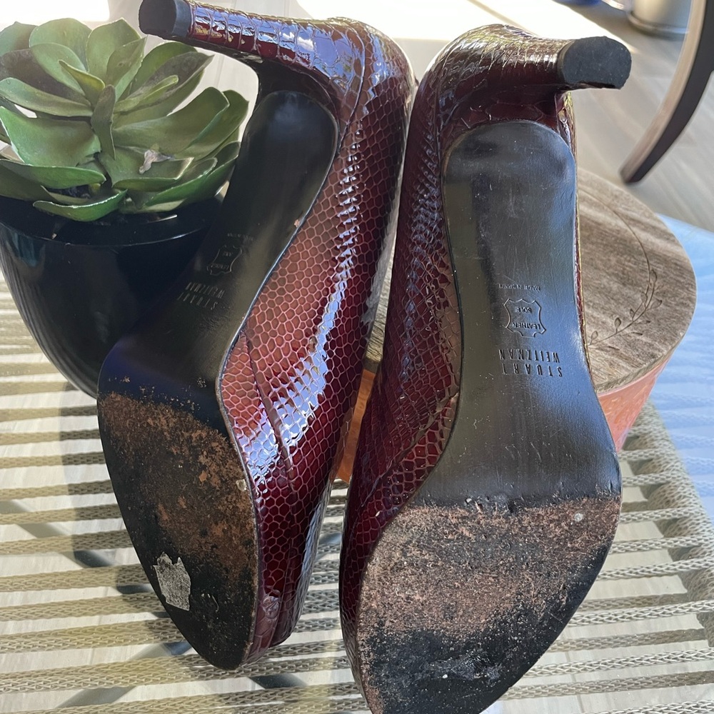 [ Stewart Weitzman ] Nude Snake Pump Vino Crystal View 2